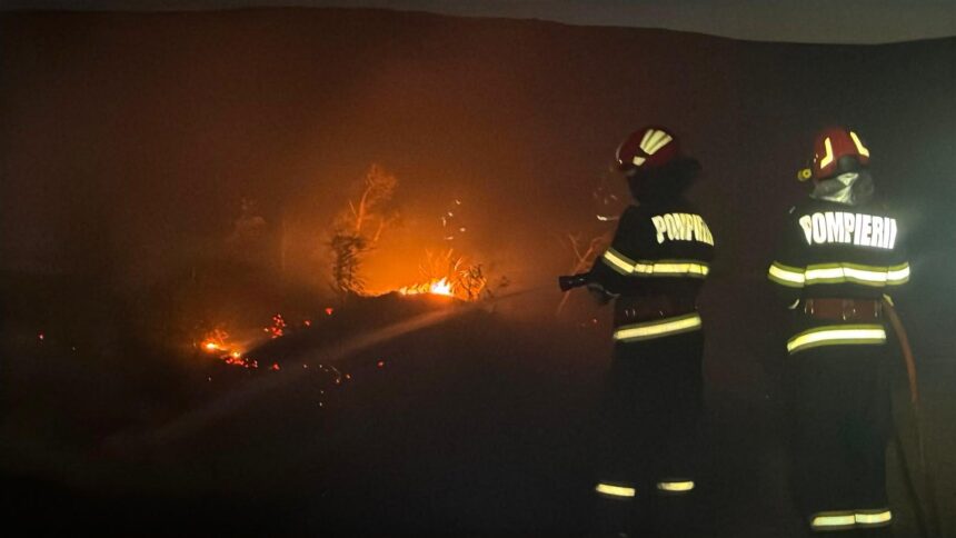 foto incendiu puternic de vegetatie la marginea unei localitati din judetul tulcea 6aa1a1adb5620