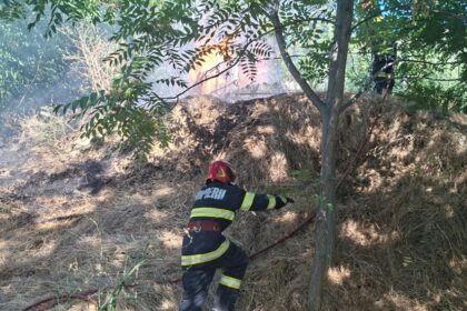 foto incendiu violent aproape de localitatea greci din judetul tulcea focul de la vegetatia uscata s a extins la fondul forestier 6aa2ddf98e671