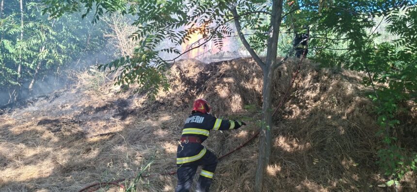 foto incendiu violent aproape de localitatea greci din judetul tulcea focul de la vegetatia uscata s a extins la fondul forestier 6aa2ddf98e671