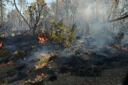 incendiu devastator in croatia aproximativ 500 de persoane au fost evacuate de pe insula brac 6aa7a7292ead7