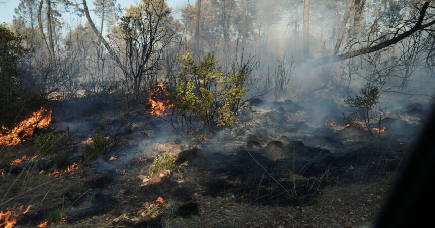 incendiu devastator in croatia aproximativ 500 de persoane au fost evacuate de pe insula brac 6aa7a7292ead7