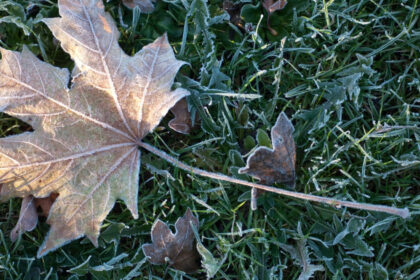 minus 37 grade celsius la miercurea ciuc este a doua oara in aceasta toamna cand se inregistreaza valori negative in harghita 6abcc9c2382a1