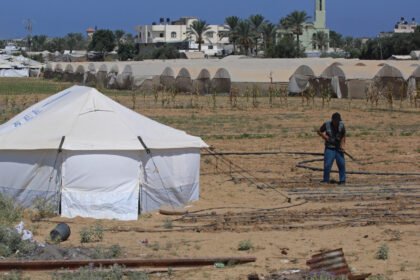 o recolta de speranta o familie reconstruieste intr un cort singura banca de seminte din gaza 6a9bc9bf023a6