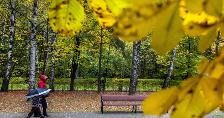 temperaturi mai ridicate decat normalul perioadei ce spune prognoza meteo pe urmatoarele patru saptamani 6a9fac96deb75