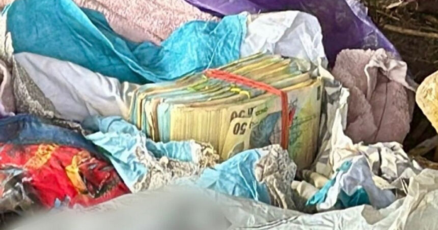 un presupus camatar din dambovita a ingropat aproape 200 000 de lei in curtea casei sale opt persoane audiate de politisti 6a97f177ac47d