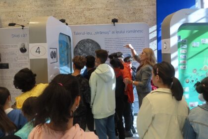 vesti bune alocatia de plasament se acorda si dupa 18 ani daca tanarul isi continua studiile sau la cerere 6ab5487108a08