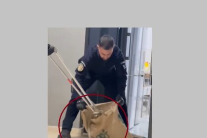 video aparitie surpriza intr un restaurant din mamaia sat un sarpe de peste 15 metri a patruns in local 6aae1d5940b6f