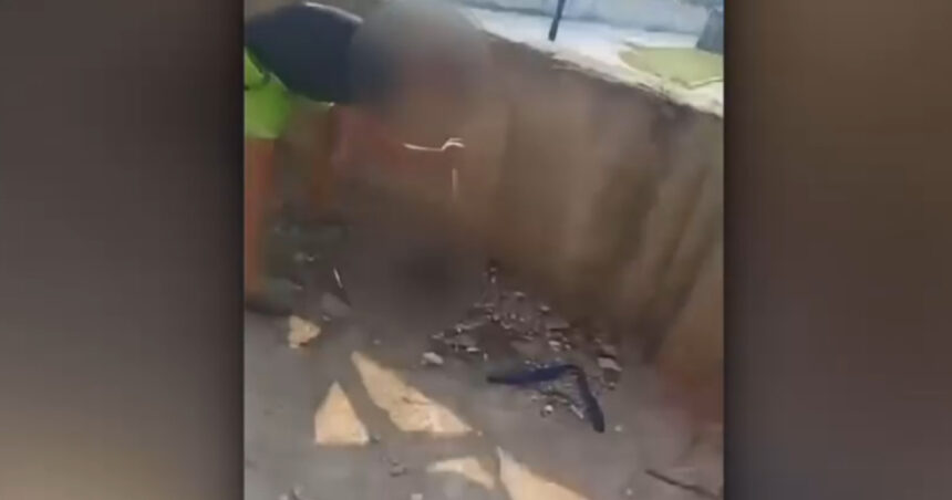 video caz de o cruzime uluitoare in judetul valcea sapte pui de caine au fost atacati cu un cutit de doi copii de 11 si 13 ani 6aa59b532a08c
