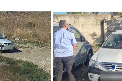 video constanta amenda uriasa pentru un barbat care a aruncat in km 4 5 saci cu moloz si resturi 6aa398517da1f