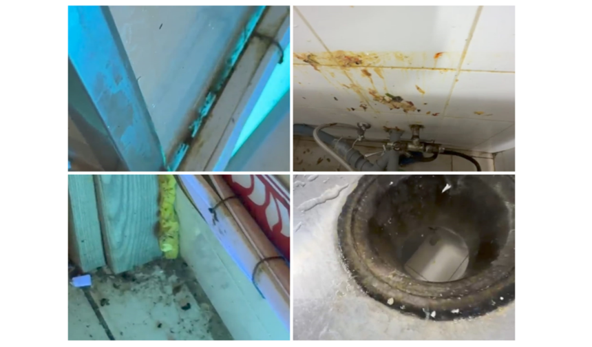 video hotelul neko din saturn unde s a activat planul rosu amendat de protectia consumatorilor constanta clientii care au ajuns in spital isi primesc banii inapoi spune horia constantinescu seful 6a97badb29207