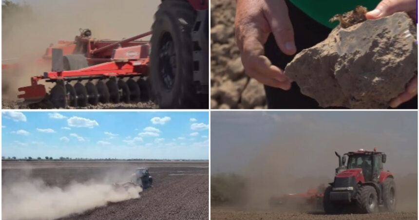 video nori de praf si disperare cum afecteaza lipsa ploilor culturile din vestul tarii fermier in 40 de ani asa ceva nu am mai intalnit 6ab0b06b2c7f0