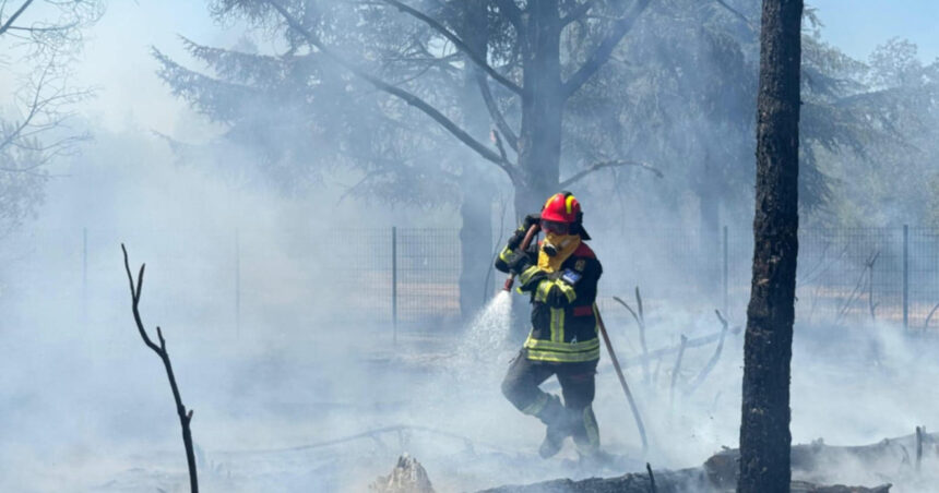 video pompierii romani continua lupta cu incendiile din serbia interventii in rezervatia deliblato sands 6a96954d76957
