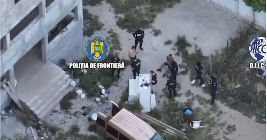 video saci intregi de canabis gasiti de politie la o descindere langa bucuresti 6aa15cfe6091c