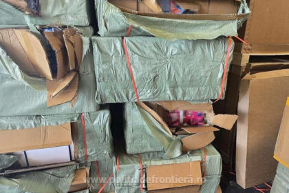 videofoto 60 000 de jucarii suspectate a fi contrafacute confiscate in portul constanta marfa valora peste 700 000 de lei 6aa7b1ba6c8d5