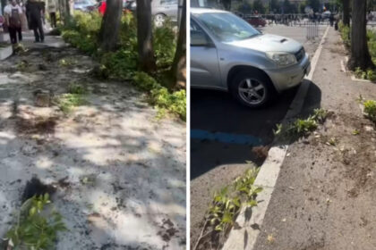videofoto primarul sectorului 1 a sesizat organele abilitate pentru distrugerile din piata victoriei cei responsabili vor fi identificati 6aa9b2f7219ff