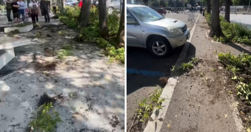 videofoto primarul sectorului 1 a sesizat organele abilitate pentru distrugerile din piata victoriei cei responsabili vor fi identificati 6aa9b2f7219ff