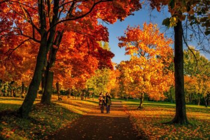 vreme schimbatoare in dobrogea temperaturi in crestere si conditii de ceata in urmatoarele zile 6aa7d33770954