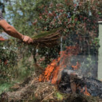 arzi frunze si crengi in curte poti primi o amenda de pana la 45 000 de lei chiar daca focul nu se extinde 6ae58fa7d2793