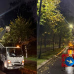 bucurestiul se pregateste de sarbatori 6 milioane de luminite vor transforma capitala cand se deschide targul de craciun 6ae25ff38b0ef