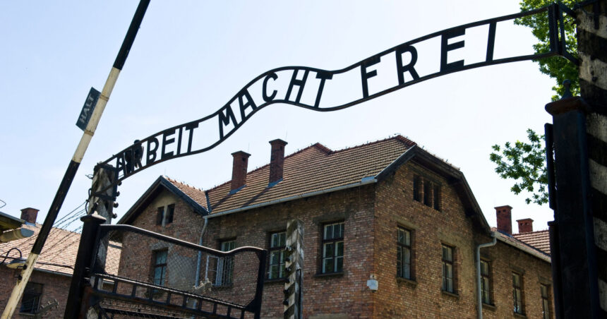 ce amenda a primit un lituanian care a facut salutul fascist in lagarul de la auschwitz 6acd1dcd57348