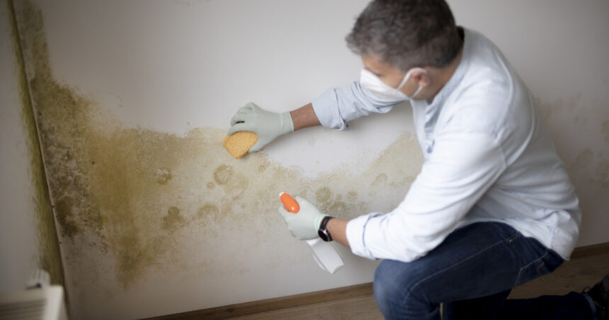 cum indepartezi si previi mucegaiul din casa locurile in care petele apar cel mai des in sezonul rece 6ad1a27430592