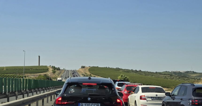 depistat baut posibil si drogat fara permis de conducere la volanul unei masini care rula pe autostrada spre cernavoda 6ac20b0ae9ea6