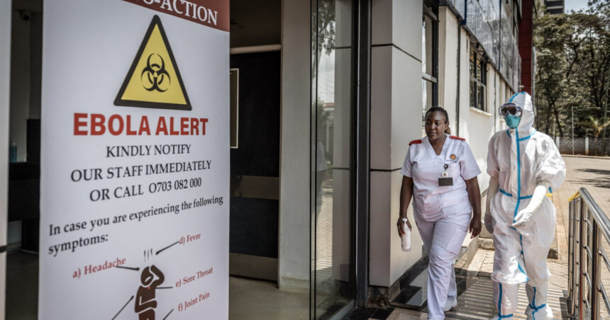 epidemia de ebola se extinde in africa cat de mare este riscul pentru romania si ce avertizeaza expertii europeni 6adc82d7ca0a4