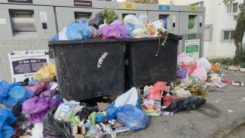 galerie foto video constantenii nemultumiti de ce s a grabit primaria sa retraga vechile containere inainte de functionarea completa a eco insulelor 6ace0e8f8e354
