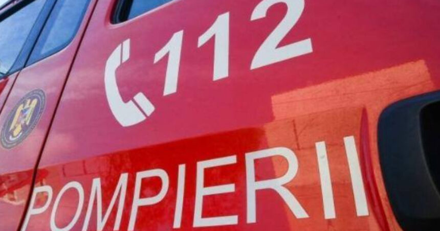 incendiu puternic in zona de locuinte improvizate craica din baia mare focul a fost pus intentionat 6ac5fd3218289