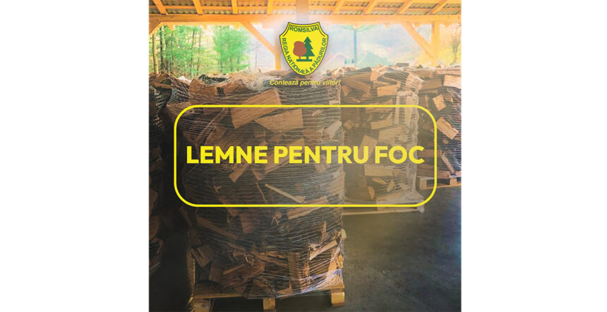 lemne de foc la pretul anului trecut pus la dispozitie de romsilva cum le puteti procura 6acfa2e9d07b2
