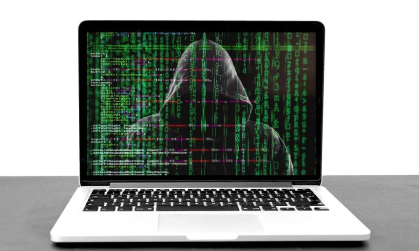 mai multe site uri guvernamentale au fost inchise dupa descoperirea unor vulnerabilitati servicii publice si spitale au fost afectate 6ad9cffe652b8