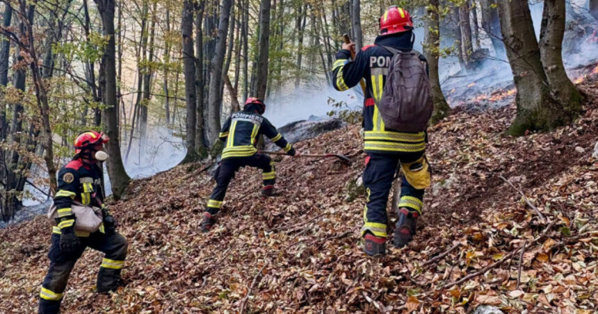 noi interventii pentru stingerea incendiilor din parcul national domogled peste 1 000 de hectare sunt afectate 6acc5c8b3911e