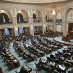 o declaratie aur privind dreptul romaniei de a si proteja interesele in politica externa a ue aprobata de senat reactia oanei toiu 6acde94ec5446