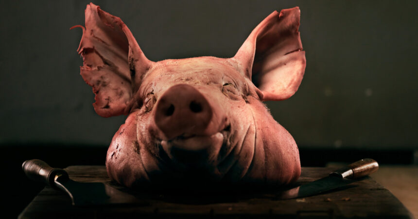 saga capetelor de porc continua un al doilea incident tip cosa nostra la proprietatile cofondatorului aur marius lulea 6ad74267904bd