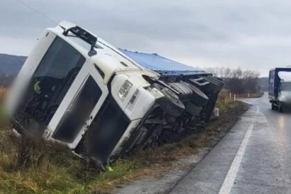 un autocamion incarcat cu floarea soarelui s a rasturnat la iesire din negureni 6abe6e6e777a5