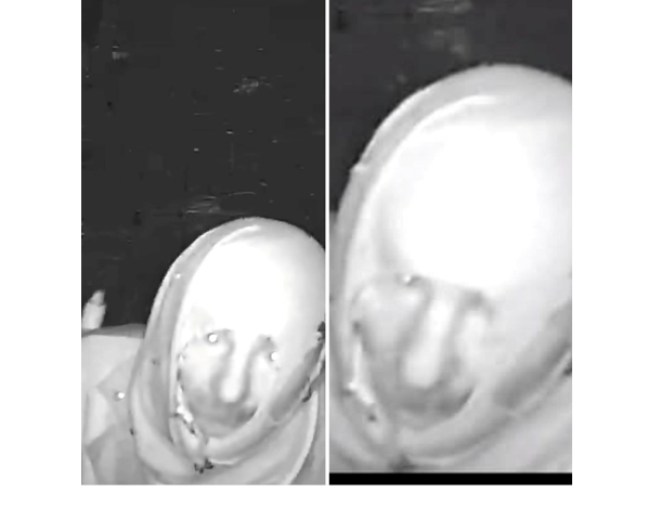 video apel catre cetateni pentru identificarea unui hot dupa mai multe spargeri in comuna mircea voda 6adfb0b0b415f