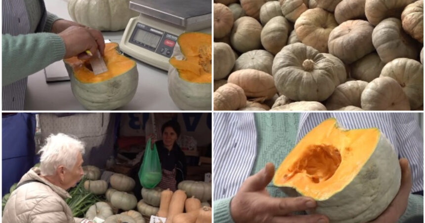 video cel mai dulce dovleac din romania povestea soiului inovator de la dabuleni care cucereste gospodinele si pietele cat costa kilogramul 6adeff266c440