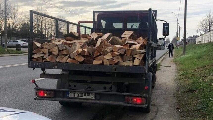video descinderi si retineri intr un dosar de furt de arbori din padurea ocolului silvic baneasa 6ac231c20de79