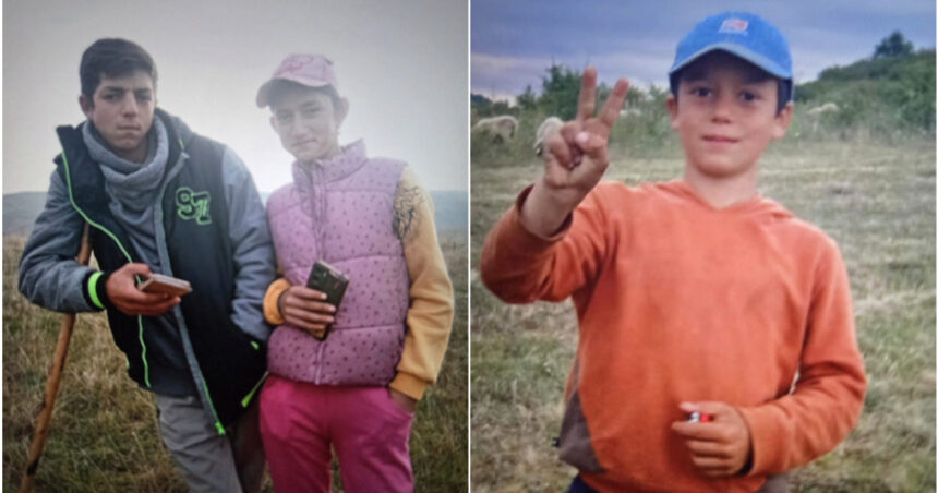 video disparitia celor trei frati din salaj un cioban ar fi vazut unul dintre copii cu un barbat anchetatorii iau in calcul rapirea 6ae5c803e02b7