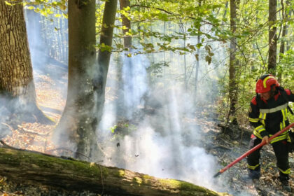 videofoto incendii de vegetatie in caras severin si valcea trei elicoptere black hawk intervin la baile herculane 6abe294a0ce44
