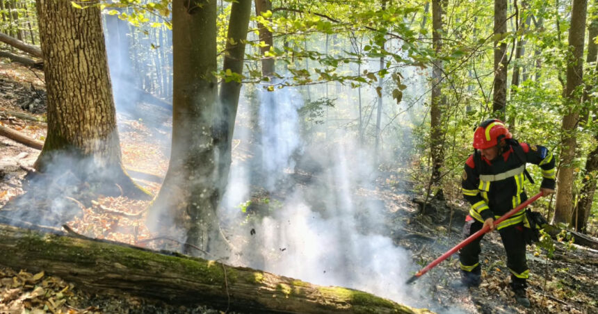 videofoto incendii de vegetatie in caras severin si valcea trei elicoptere black hawk intervin la baile herculane 6abe294a0ce44