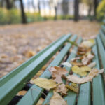 vreme mai rece decat de obicei in toata tara anm a actualizat estimarile pentru urmatoarele patru saptamani 6acdcd9c73699